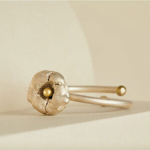 Anillos